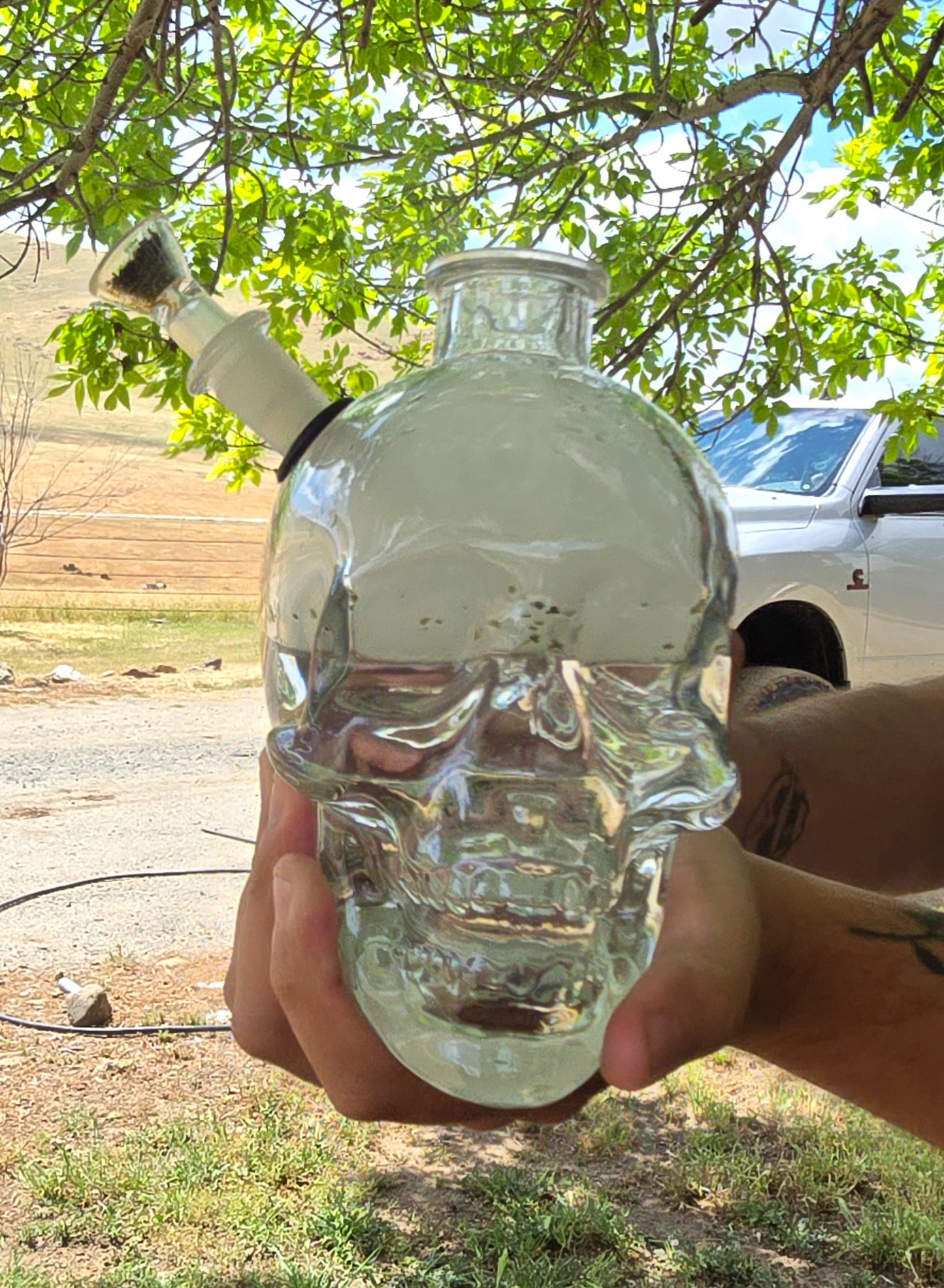 Crystal Clear Glass Skull Water Pipe